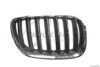 TRUCKTEC AUTOMOTIVE 08.62.267 Radiator Grille